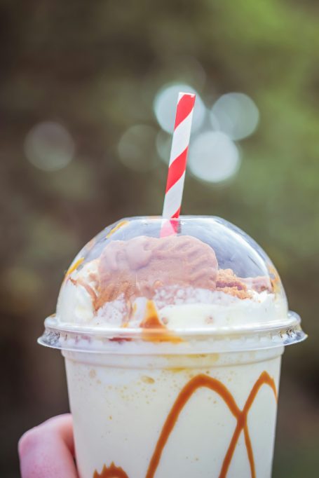 Milchshake-Maker (20€/Tag)